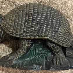 8” Long x 5” Tall Wax Armadillo 