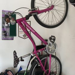 Female 24” Specialized Bike 