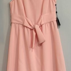 Adrianna Papell Pink Dress Size 8