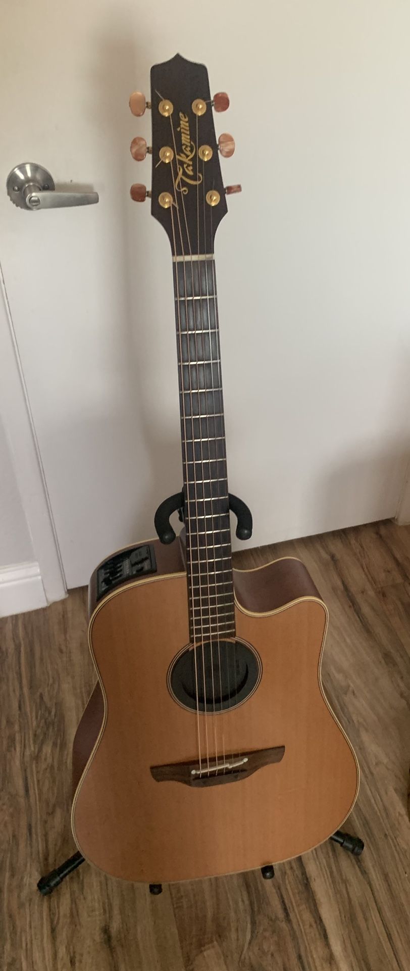 Takamine EAN 10C