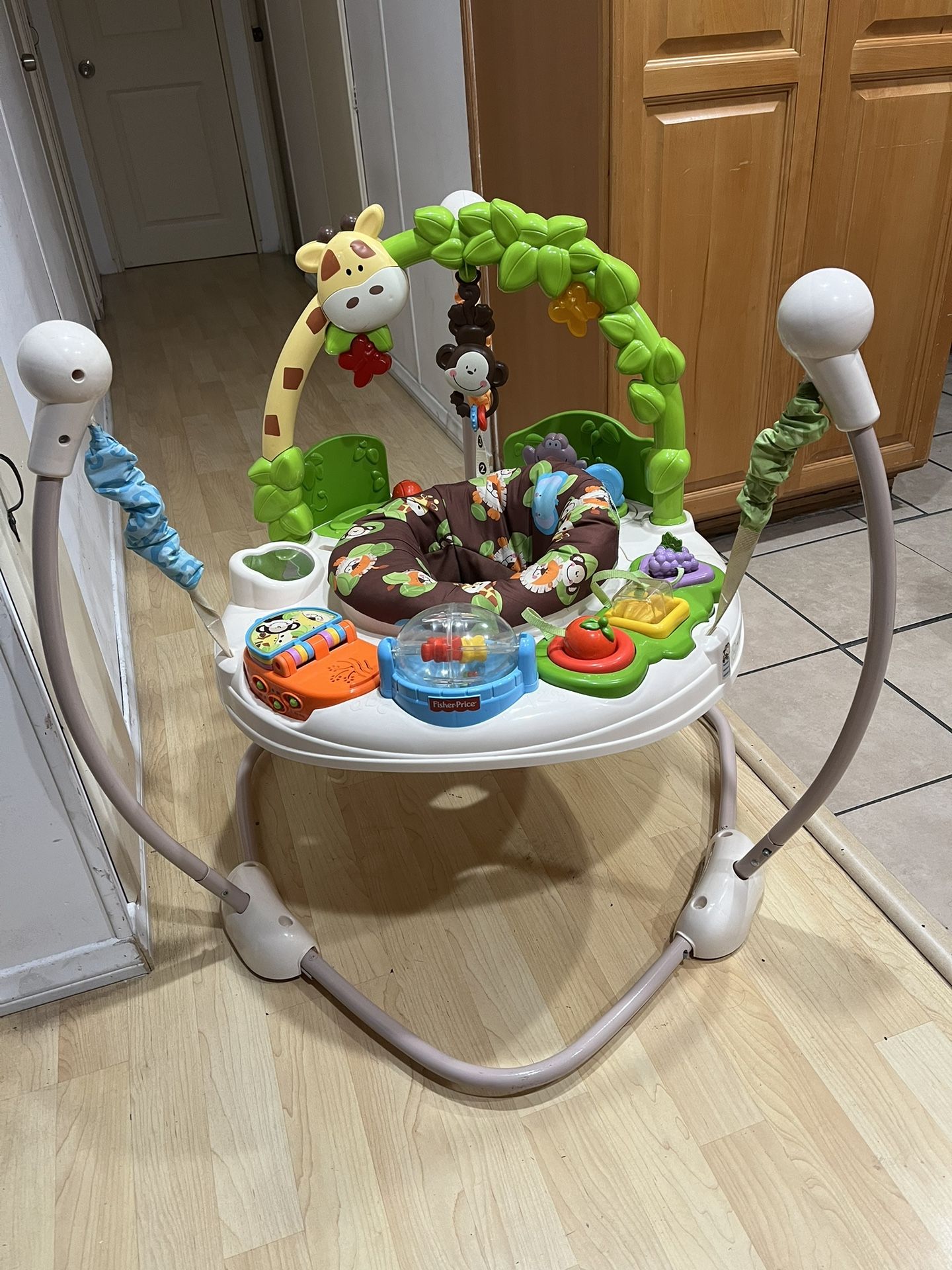 Fisher Price Baby Activity Jumpers Fisher-Price Baby Bouncer Palm