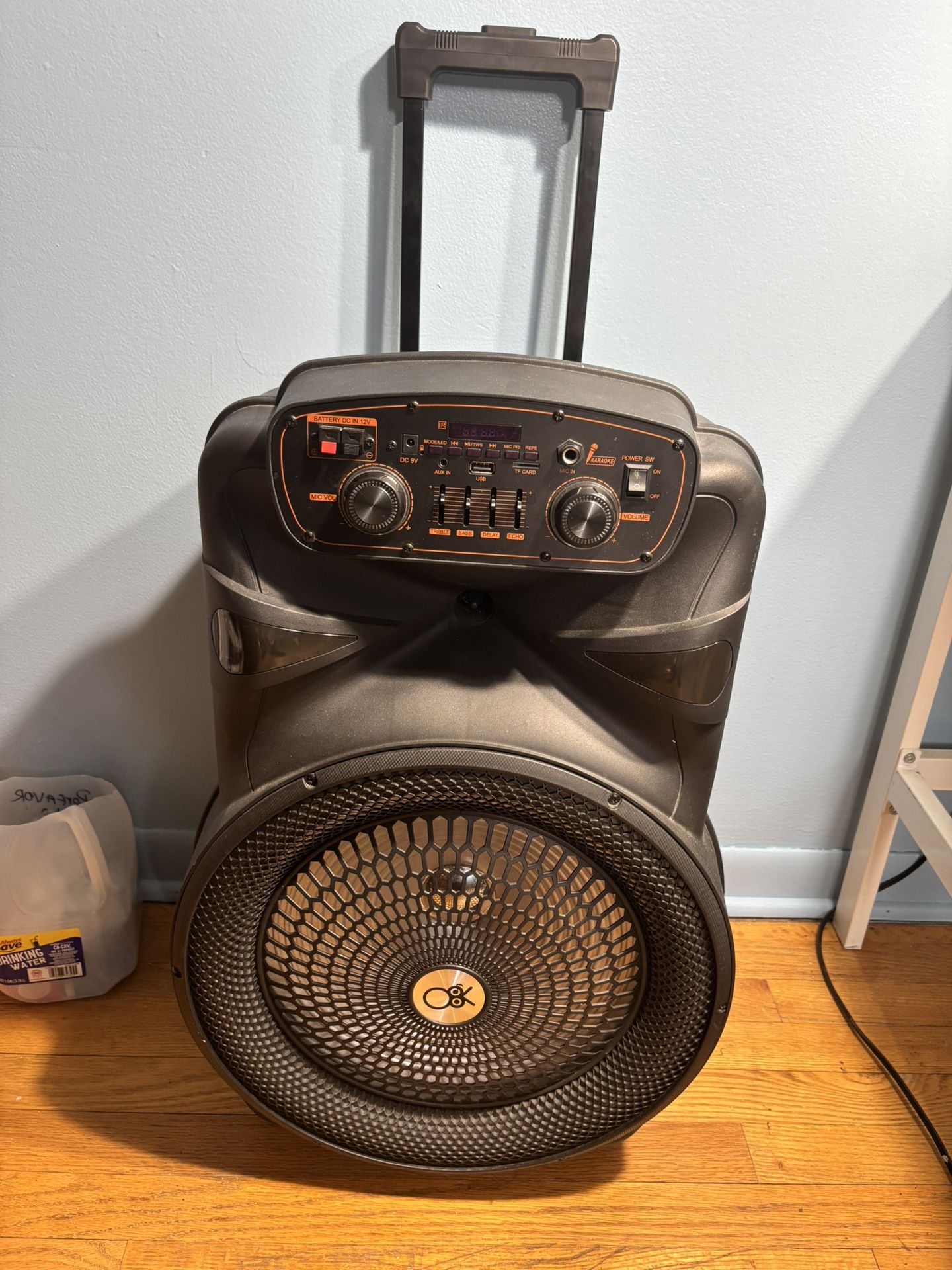 Speaker With Bluetooth & Karaoke