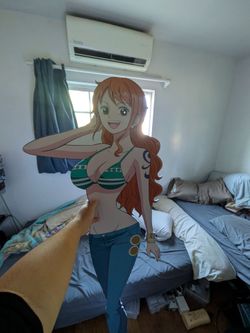 One piece miniso display of nami