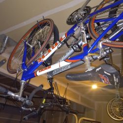 Bike I Have A lot To Choose From