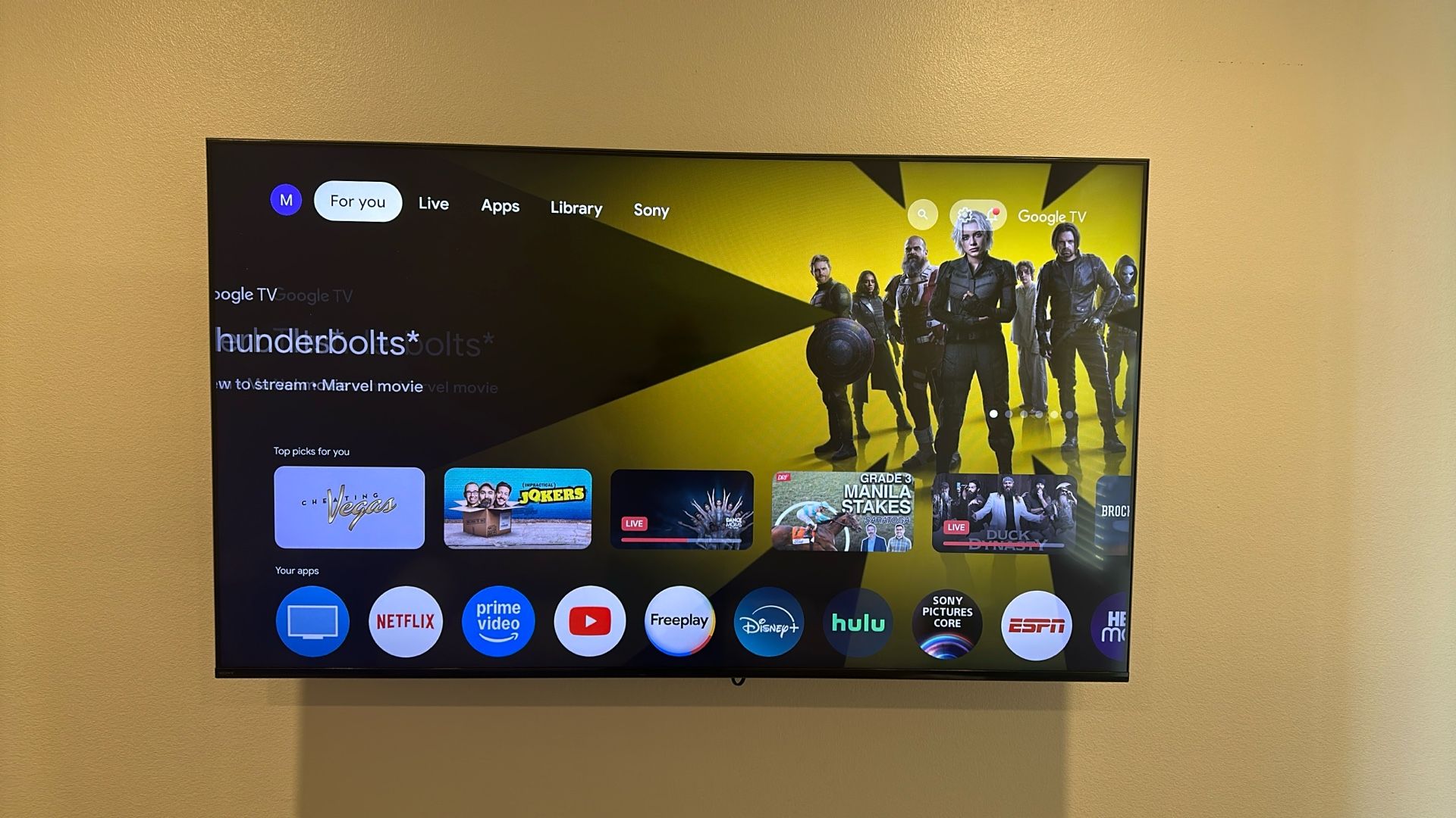 Sony Bravia 65” TV And Wall Mount