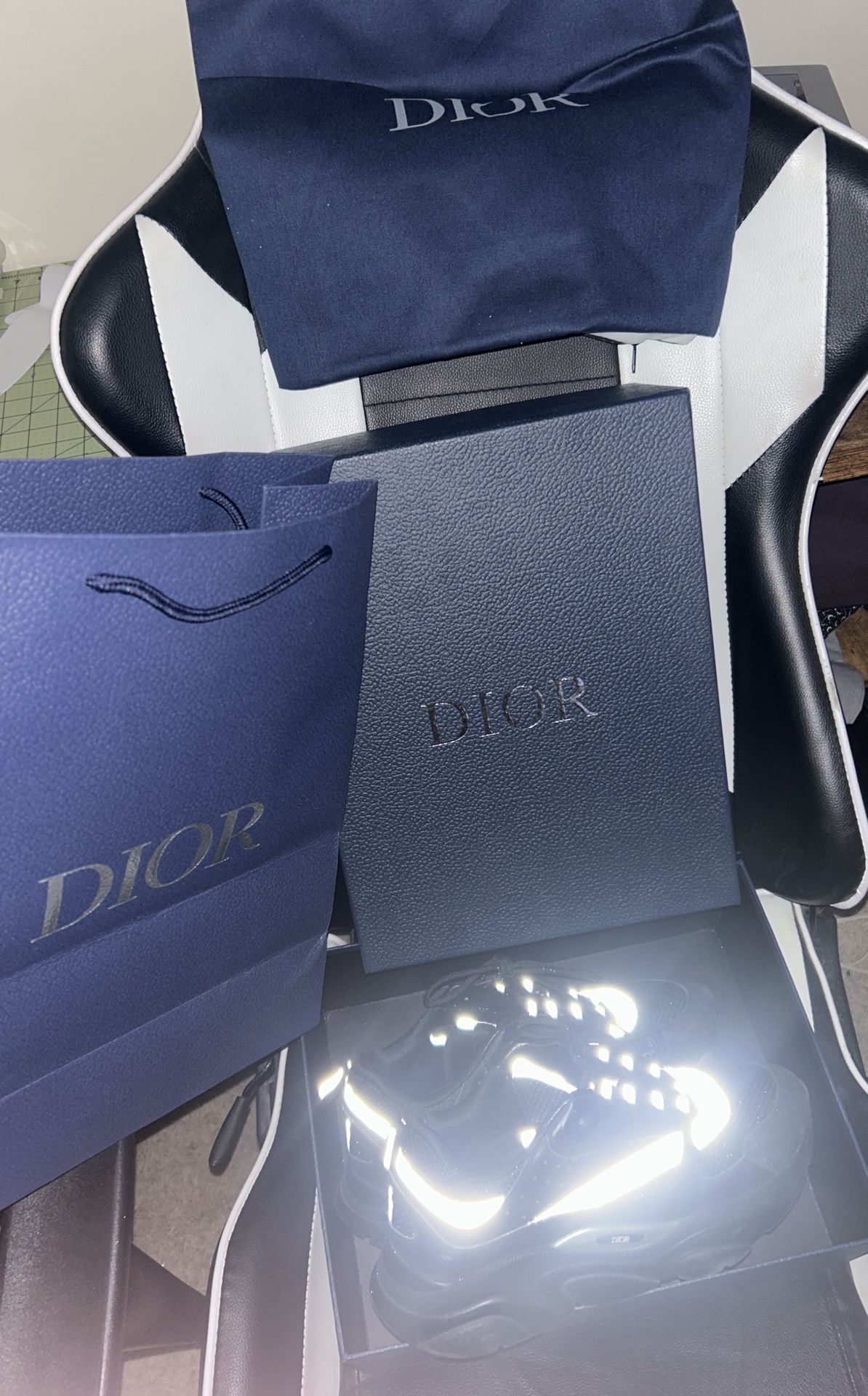 Dior B22
