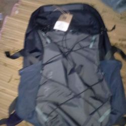 Patagonia Backback