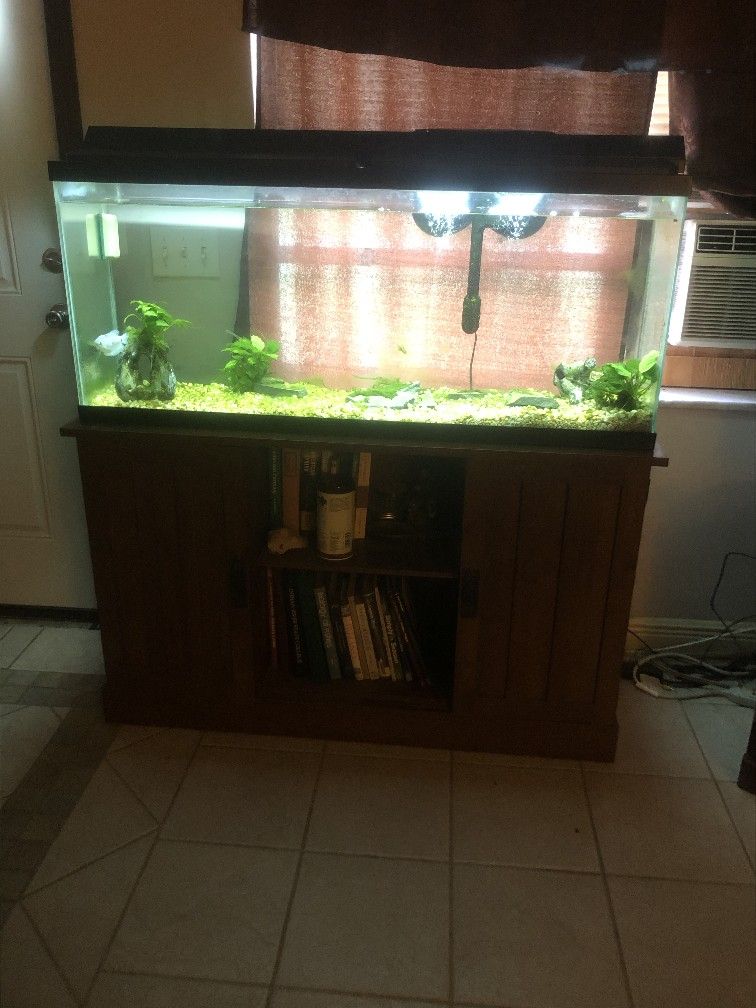 Aquarium
