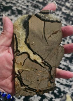 🪾 Crystals | Septarian Slab 🪾