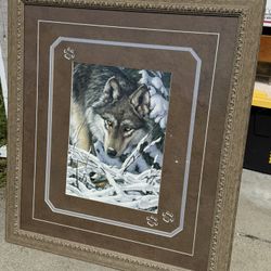 Framed Wolf Picture
