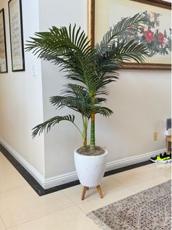5+ Ft Faux Areca Palm Plant with Planter & Wooden Legs