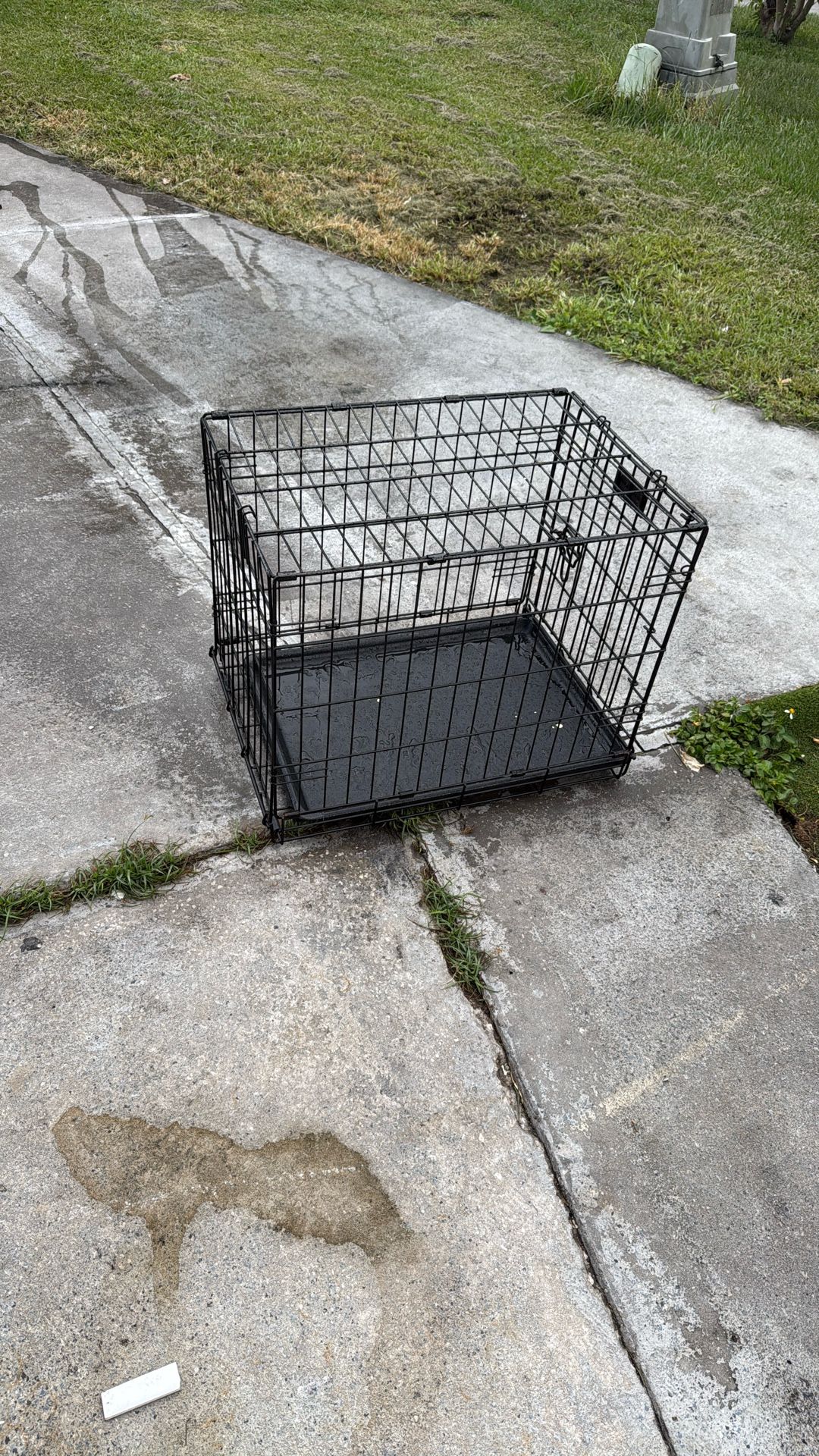 Black Dog Cage
