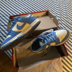 Size 8 Nike Dunks 