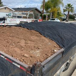 Very Nice Free Soil   Free Delivery 