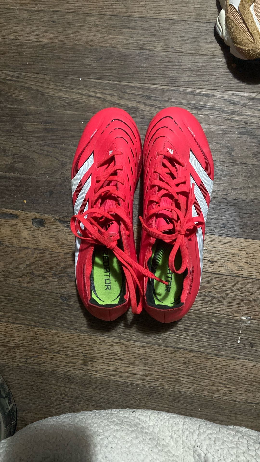 Red Predator Leagues