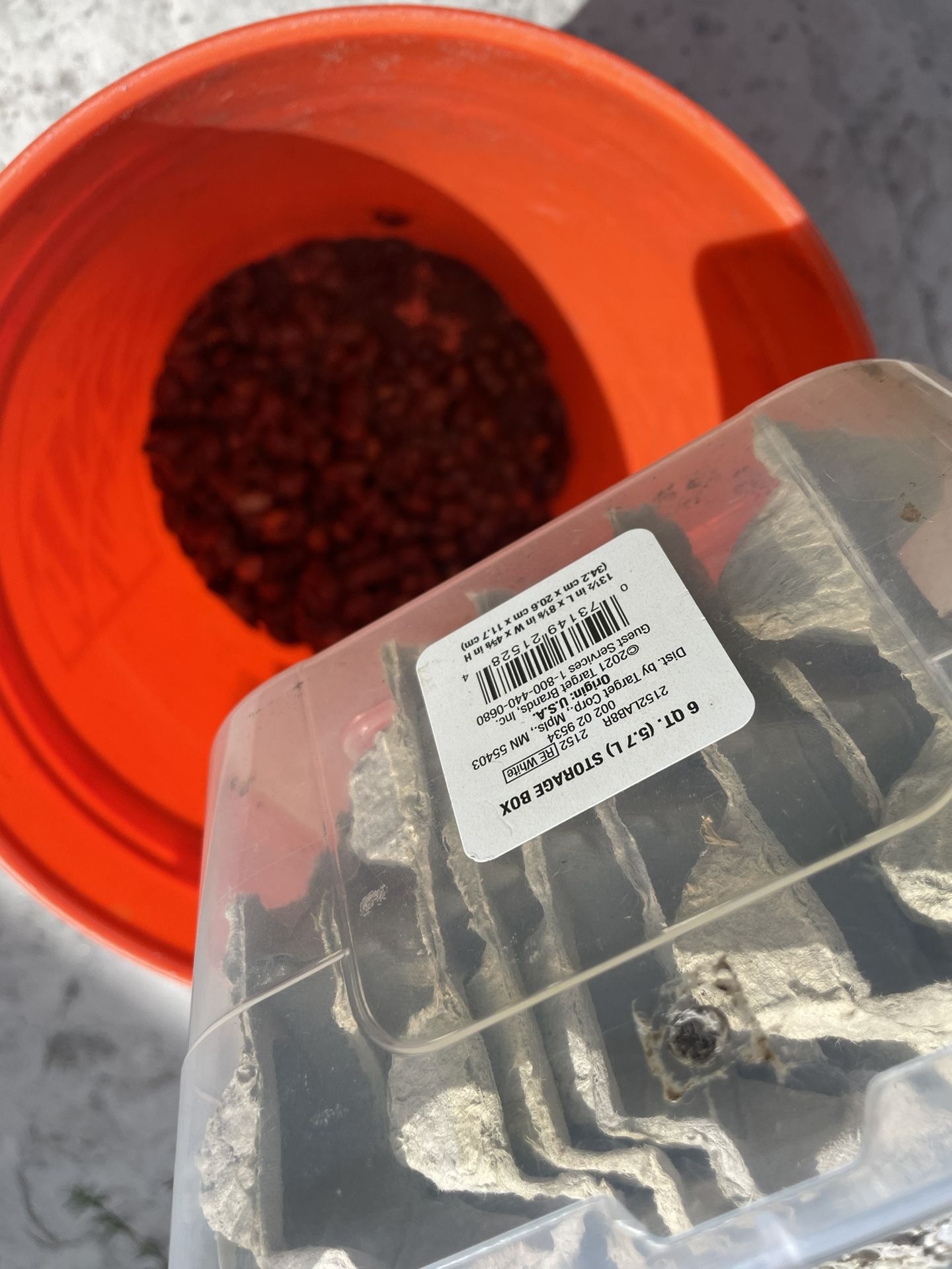 Dubia Roaches $40 For Everything 