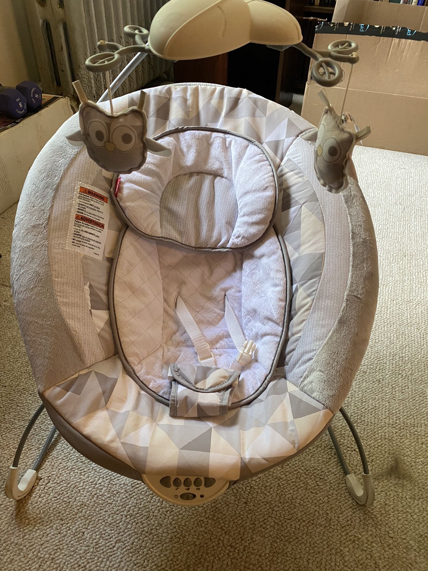 Fisher price deluxe bouncer