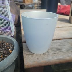 Flower Pot 