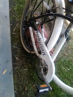 Schwinn beach cruiser