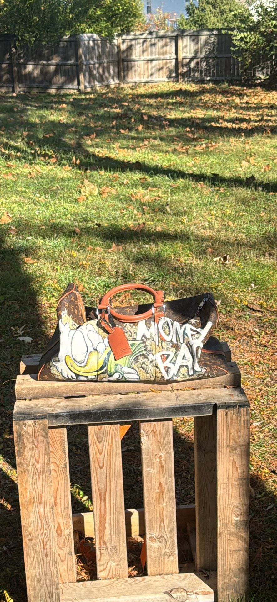 Louis Vuitton Money Bag