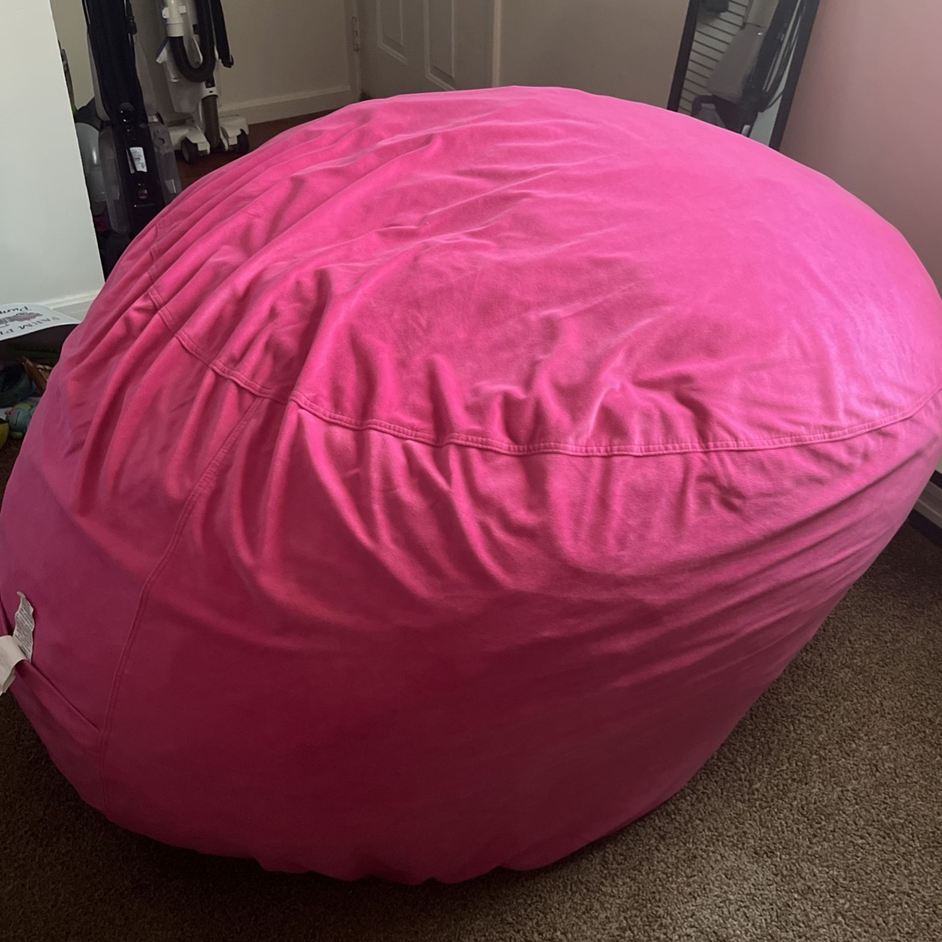 Large Entertainment Bean Bag