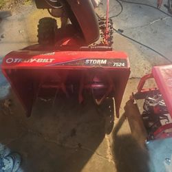 Troy Bilt Storm
