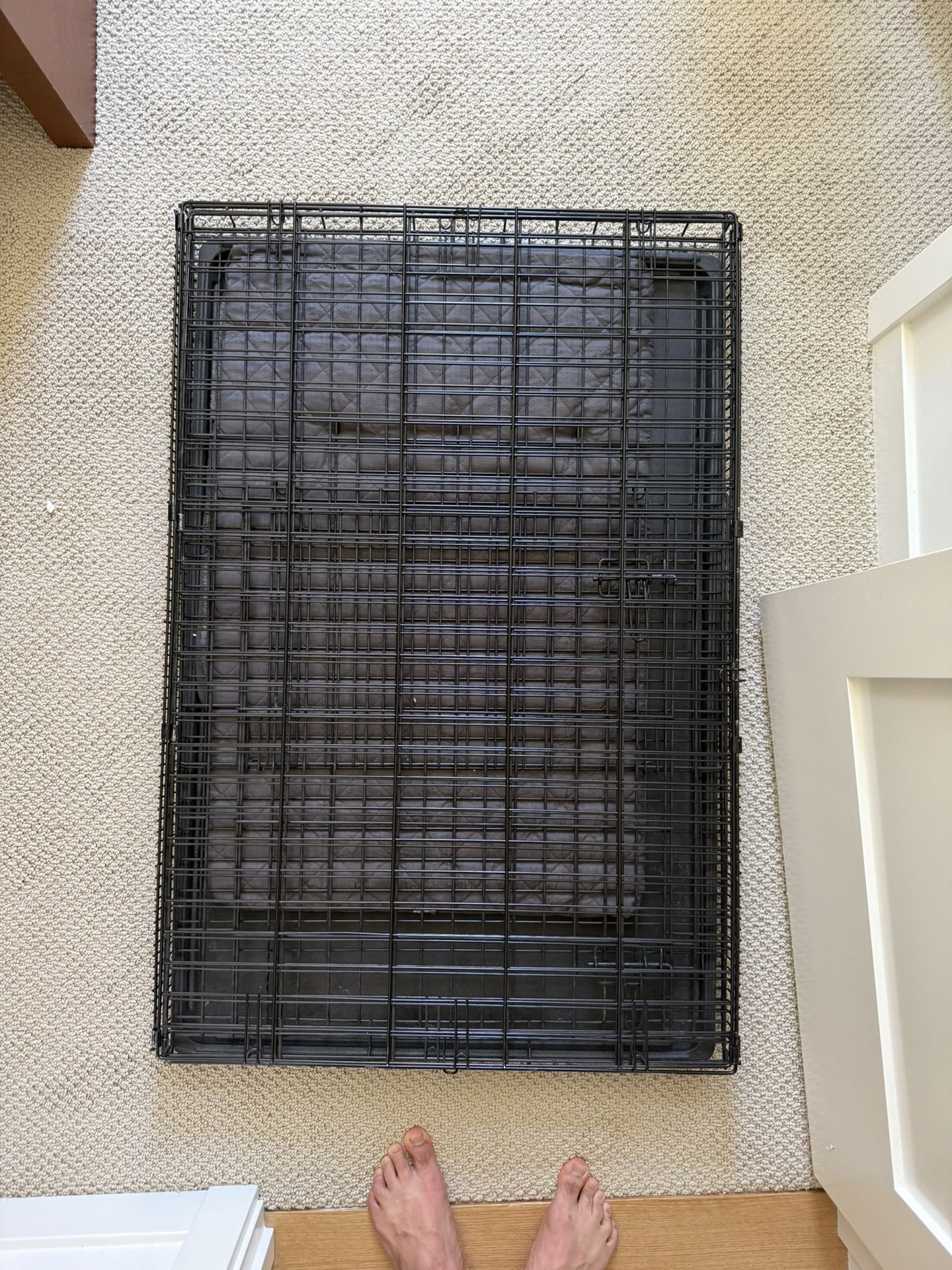 Foldable Metal Wire Dog Crate