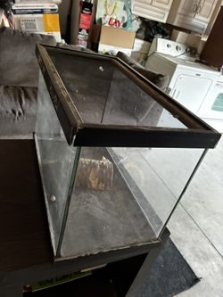Animal Tank