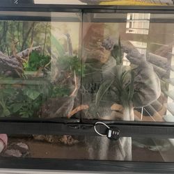 Reptile Enclosure 