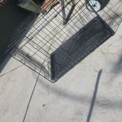 Dog Cage