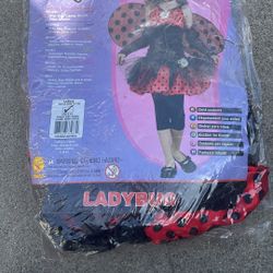 Ladybug