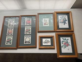 Kitchen Decoration Pictures 