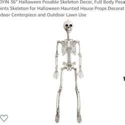 36 Inch Poseable Halloween Skeleton