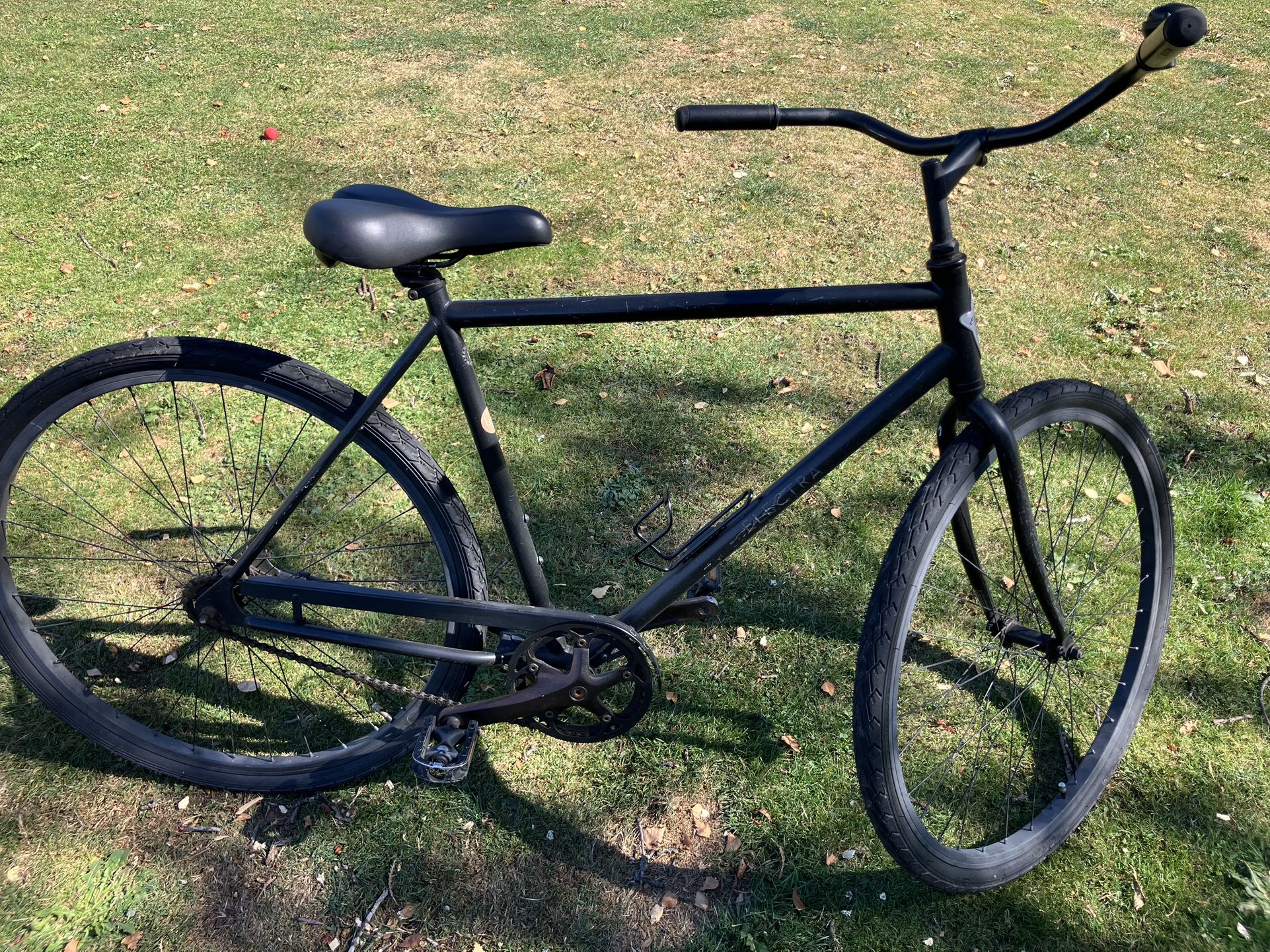 Electra Bike