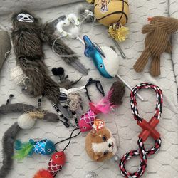 Cat Toys
