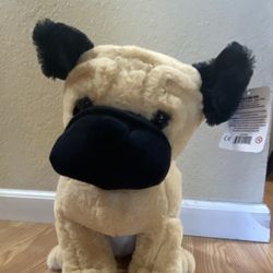 Peek A Boo Toys Pace The Pug Stuffed Animal Plush Toy