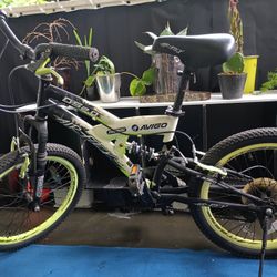 Air Flex 250 Avigo Bike