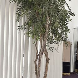 Artificial Plant High Quality 