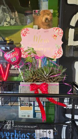 Mothers Day Arrangements