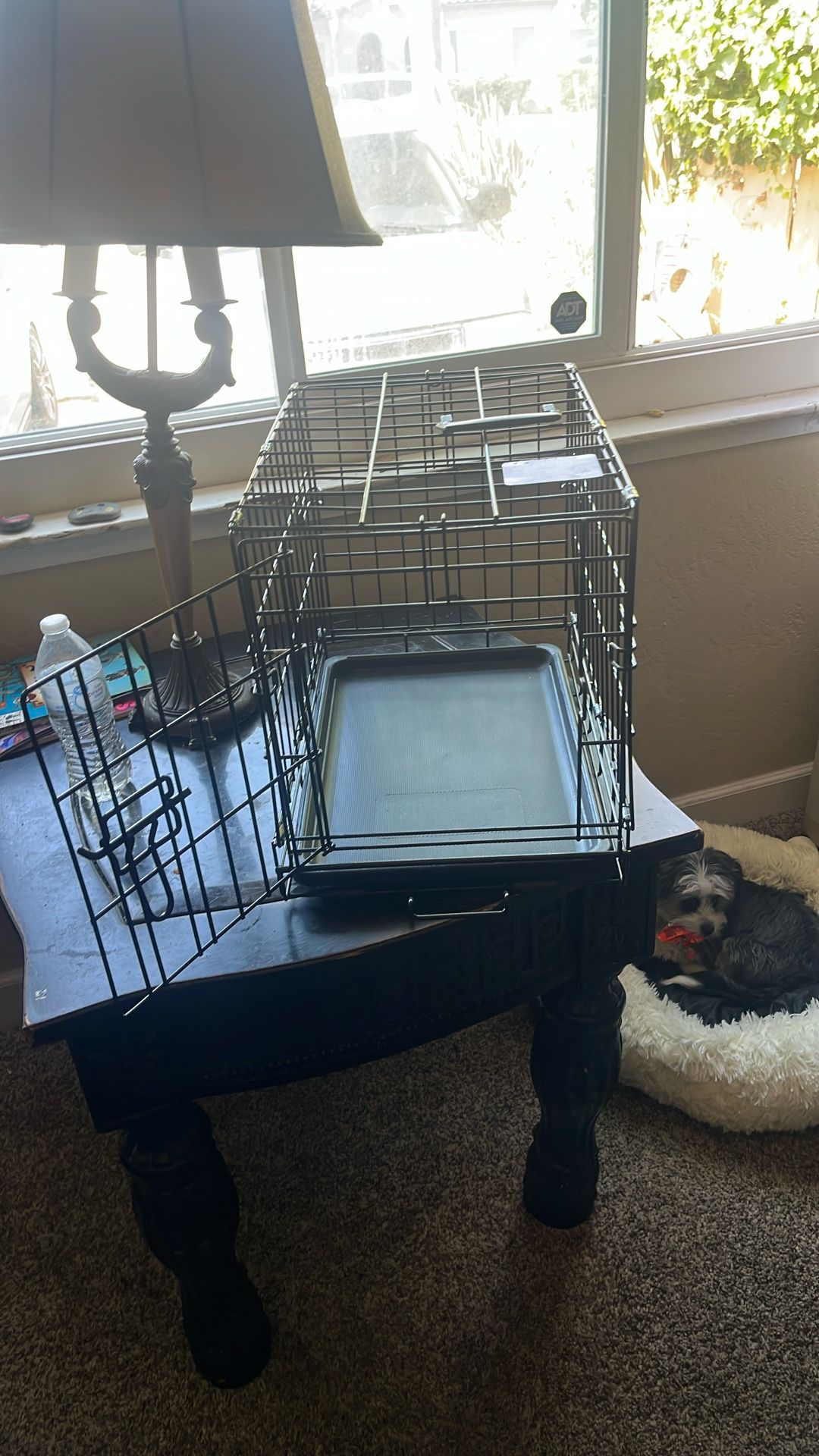 Small Dog Cage