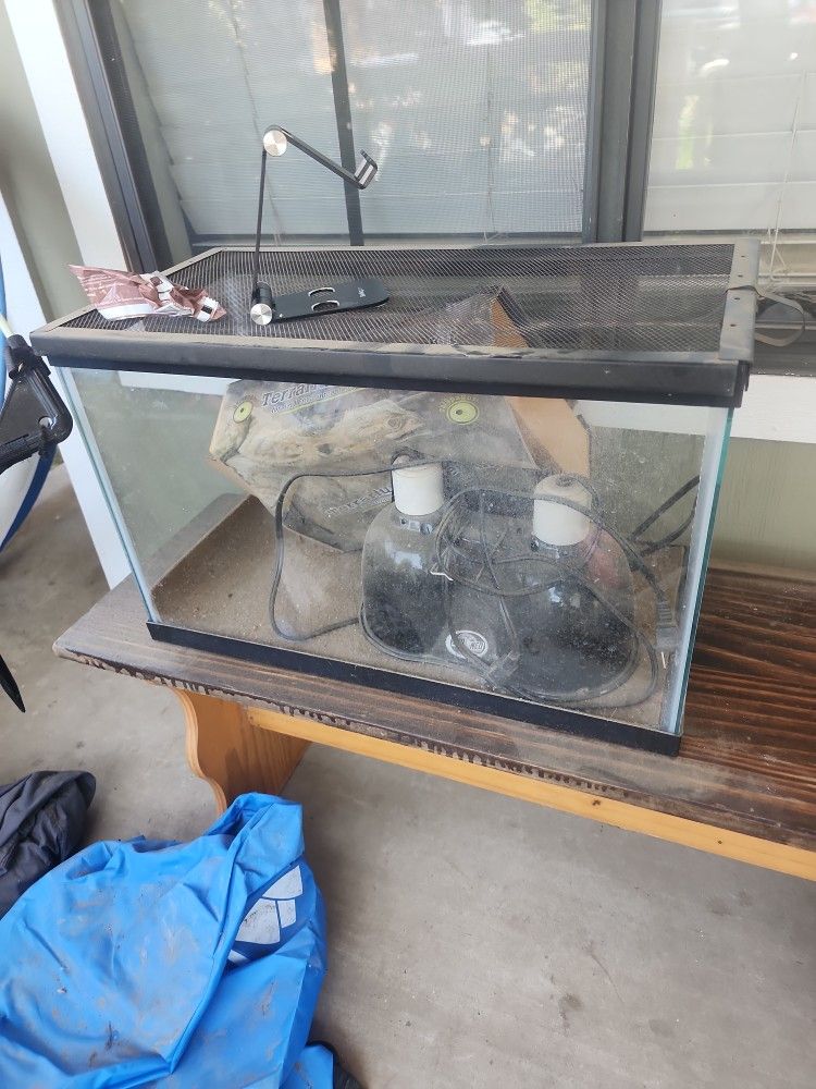 Lizard Tank
