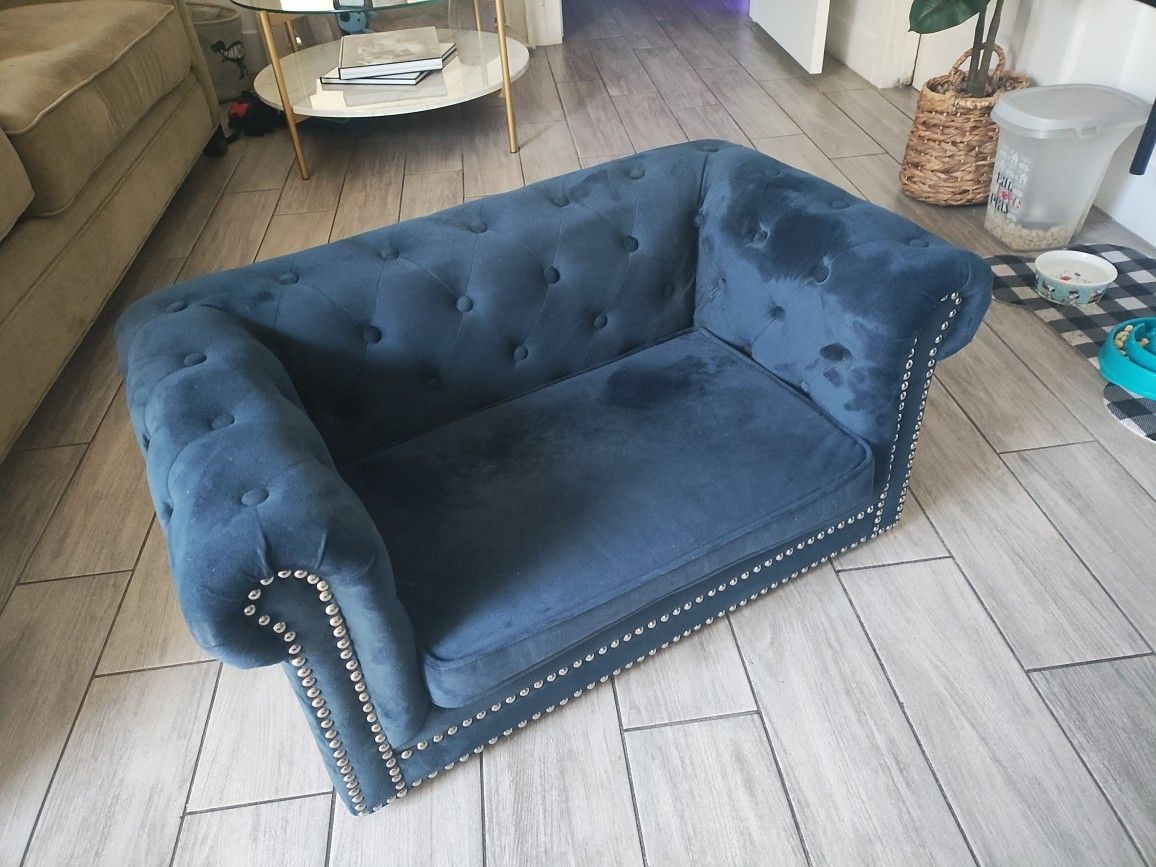 Small Dog Couch