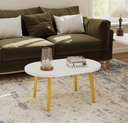 New Oval Coffee Table for Living Room, White, 19.7" D x 31.5" W x 16" H Low Table with 4 Solid Wood Sturdy Legs,Floor Table Desk for Sitting on The Fl