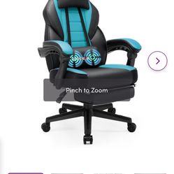 Boss in Gaming Chair 