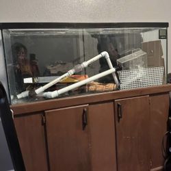 55 Gallon Tank With Wooden Stand