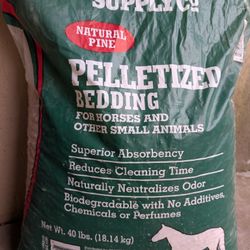 Cat Bedding Organic