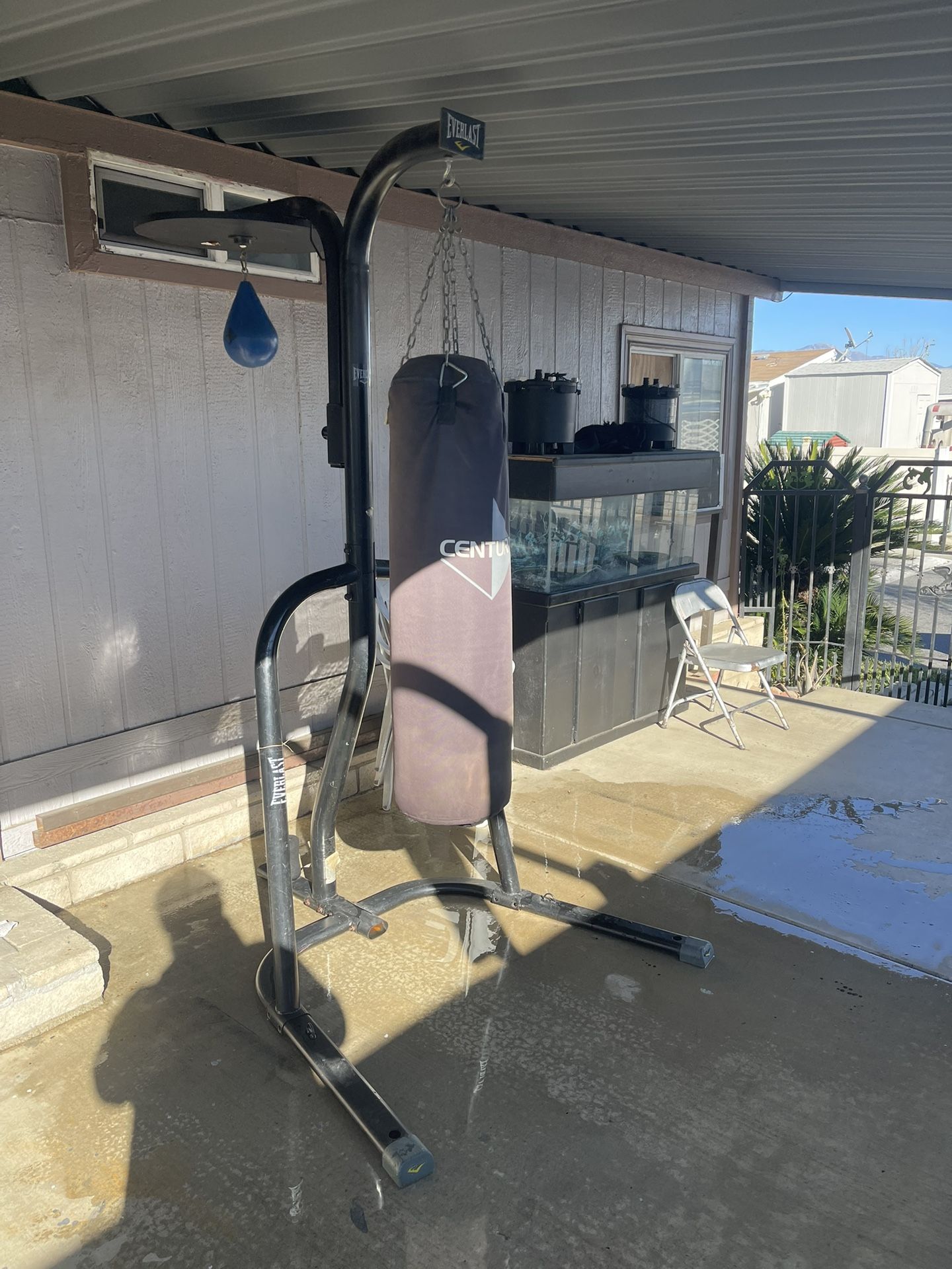 Everlast Punching Bag