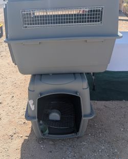 Large Dog Crates