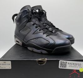 Air Jordan 6