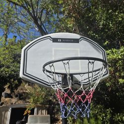 Basketball Hoop Child And Adult